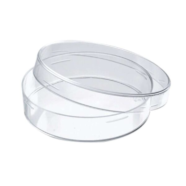 CAJA PETRI